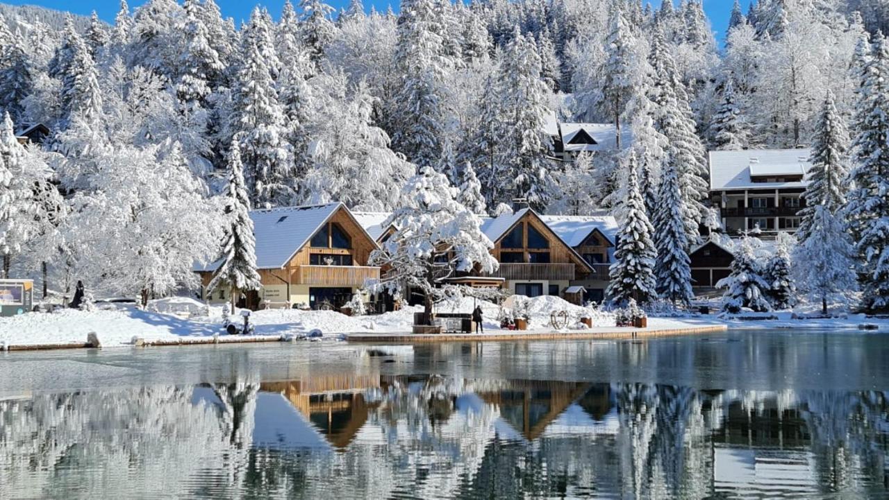 Jasna Chalet Resort クランスカゴーラ エクステリア 写真