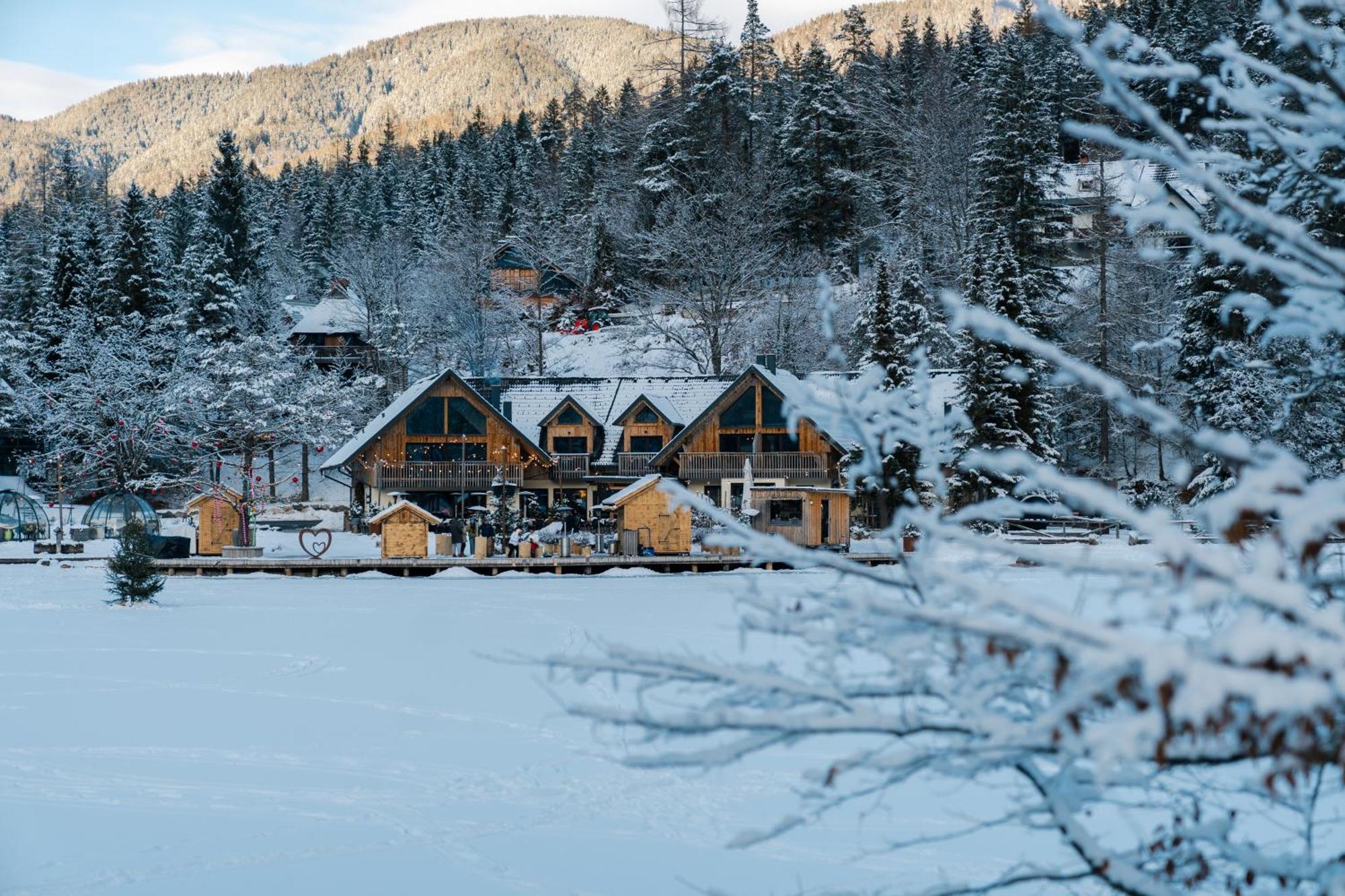 Jasna Chalet Resort クランスカゴーラ エクステリア 写真